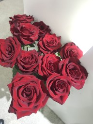 Мария Мария