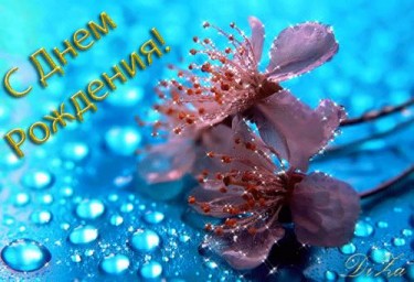Катерина Катерина