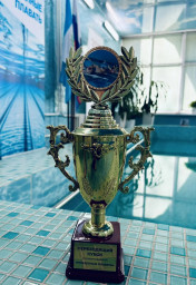 &laquo;Рождённые плавать&raquo;: переходящий кубок &mdash; за нами!