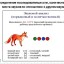 Памятка для родителей по выполнению с детьми старшего дошкольного возраста звукового анализа слова.